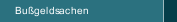 Bußgeldsachen